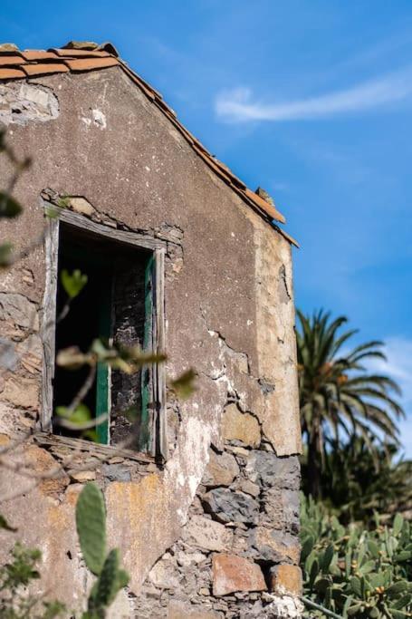 Vivienda Vacacional Rosa Blanca (Adults Only) Arure Buitenkant foto